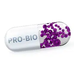 250X250_חיידקים פרוביוטים