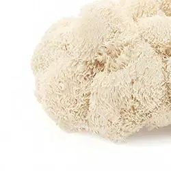 כמוסות תוסף תזונה לשיפור הזיכרון