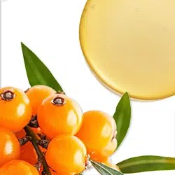 250X250_שמן האובליפיחה