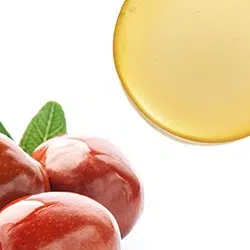 250X250_שמן חוחובה