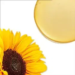 250X250_שמן חמניות