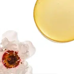 250X250_שמן מנוקה