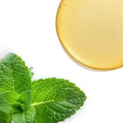 250X250_שמן מנטה