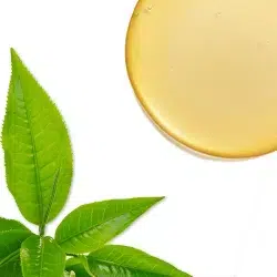 250X250_שמן עץ התה