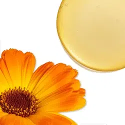 שמן פרח קלנדולה (ציפורני חתול)