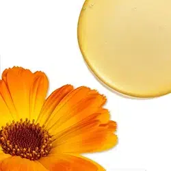 250X250_שמן קלנדולה