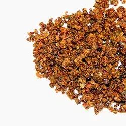 250X250_פרופוליס