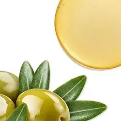 250X250_שמן זית