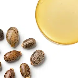 250X250_שמן קיק