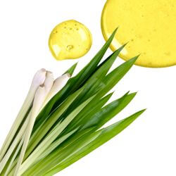 שמן ציטרונלה (1)