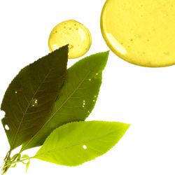 שמן קמפור (1)